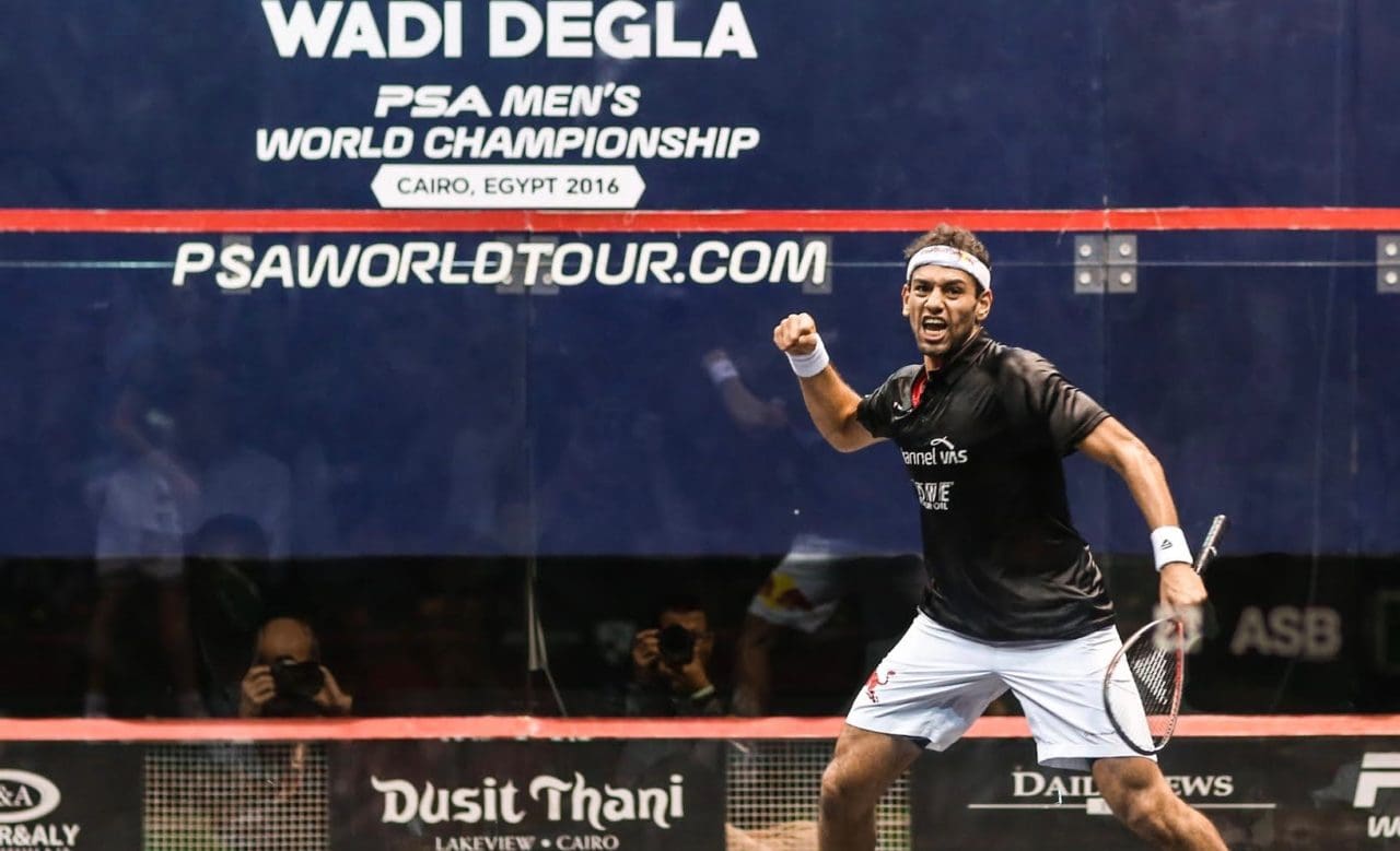 Mohamed Elshorbagy celebrates victory